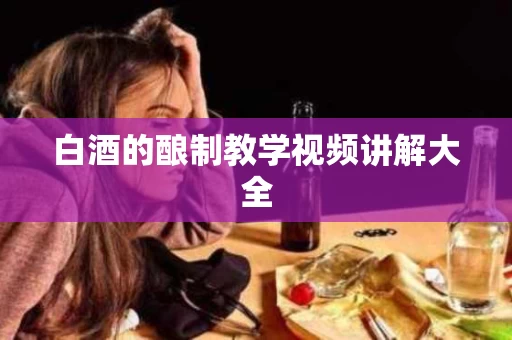 白酒的酿制教学视频讲解大全