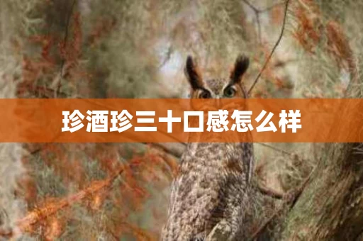 珍酒珍三十口感怎么样
