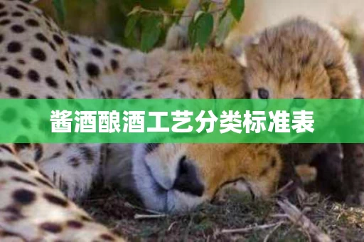 酱酒酿酒工艺分类标准表