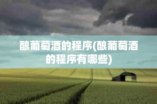 酿葡萄酒的程序(酿葡萄酒的程序有哪些)