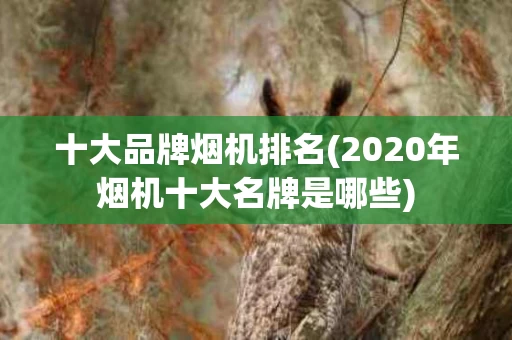 十大品牌烟机排名(2020年烟机十大名牌是哪些)