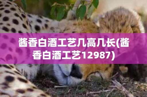 酱香白酒工艺几高几长(酱香白酒工艺12987)