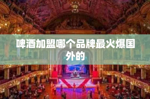 啤酒加盟哪个品牌最火爆国外的