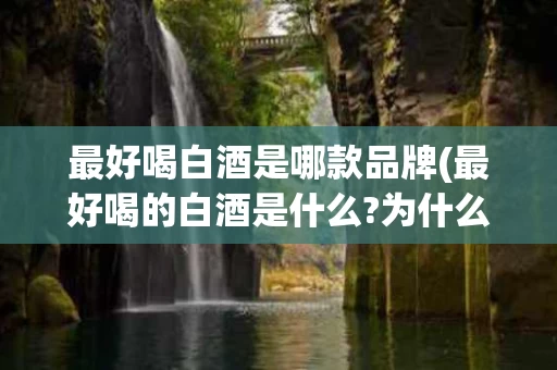 最好喝白酒是哪款品牌(最好喝的白酒是什么?为什么?)