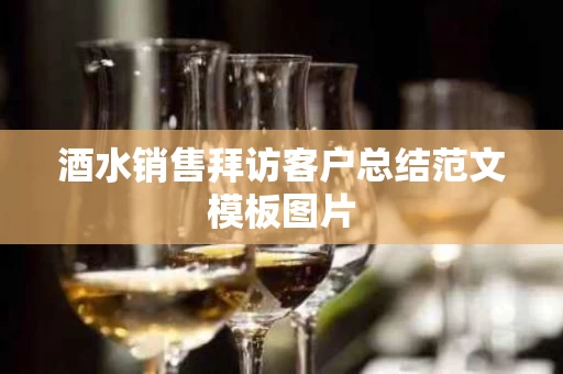 酒水销售拜访客户总结范文模板图片