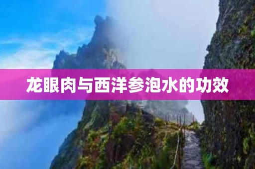 龙眼肉与西洋参泡水的功效