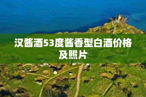 汉酱酒53度酱香型白酒价格及照片