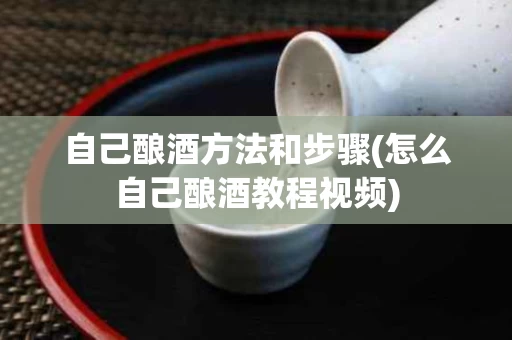 自己酿酒方法和步骤(怎么自己酿酒教程视频)