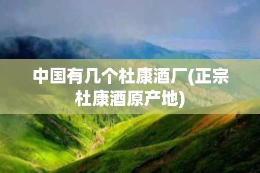 中国有几个杜康酒厂(正宗杜康酒原产地)