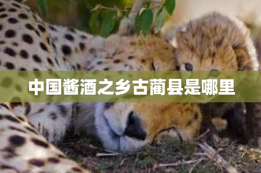 中国酱酒之乡古蔺县是哪里
