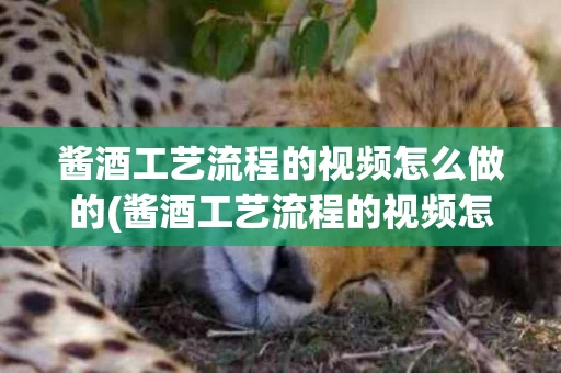 酱酒工艺流程的视频怎么做的(酱酒工艺流程的视频怎么做的呀)