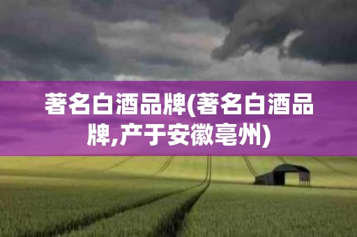 著名白酒品牌(著名白酒品牌,产于安徽亳州)