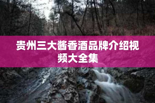 贵州三大酱香酒品牌介绍视频大全集