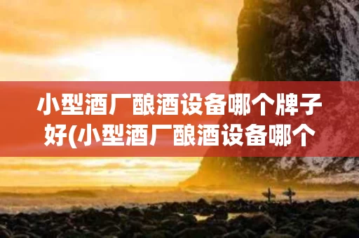 小型酒厂酿酒设备哪个牌子好(小型酒厂酿酒设备哪个牌子好用)
