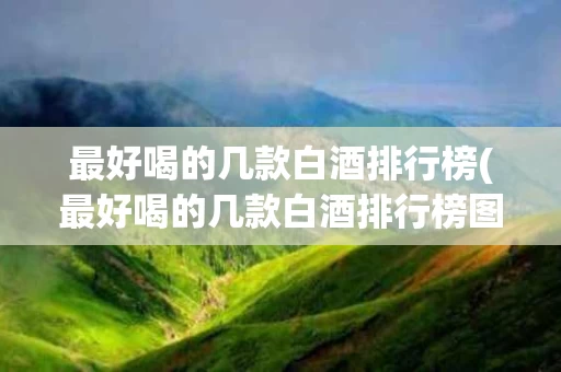 最好喝的几款白酒排行榜(最好喝的几款白酒排行榜图片)