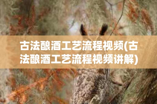 古法酿酒工艺流程视频(古法酿酒工艺流程视频讲解)