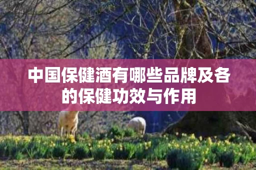 中国保健酒有哪些品牌及各的保健功效与作用