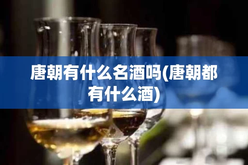 唐朝有什么名酒吗(唐朝都有什么酒)