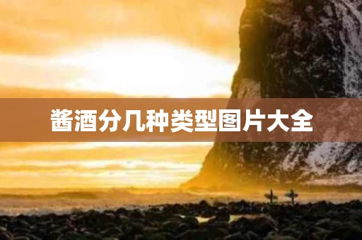 酱酒分几种类型图片大全
