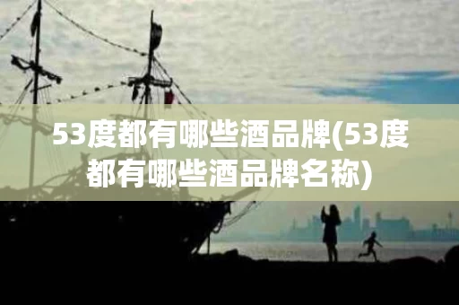 53度都有哪些酒品牌(53度都有哪些酒品牌名称)