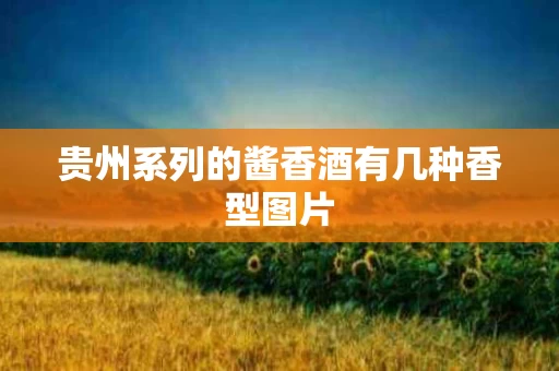 贵州系列的酱香酒有几种香型图片