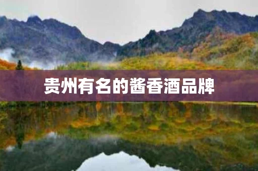 贵州有名的酱香酒品牌