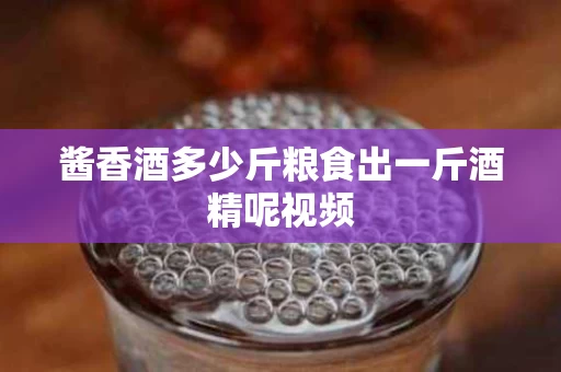 酱香酒多少斤粮食出一斤酒精呢视频