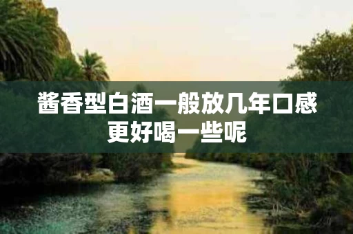 酱香型白酒一般放几年口感更好喝一些呢