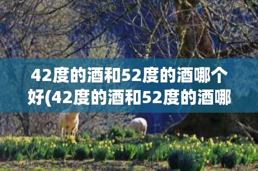 42度的酒和52度的酒哪个好(42度的酒和52度的酒哪个好喝一点)