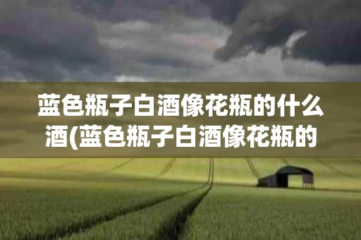 蓝色瓶子白酒像花瓶的什么酒(蓝色瓶子白酒像花瓶的什么酒啊)