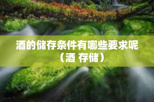 酒的储存条件有哪些要求呢（酒 存储）
