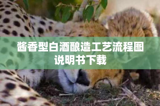 酱香型白酒酿造工艺流程图说明书下载