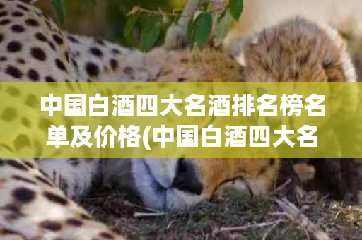 中国白酒四大名酒排名榜名单及价格(中国白酒四大名酒排名榜名单及价格图片)