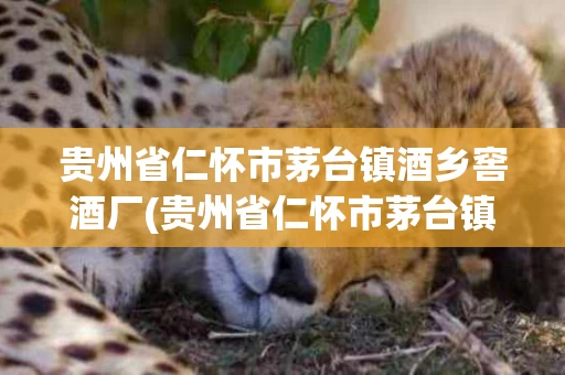 贵州省仁怀市茅台镇酒乡窖酒厂(贵州省仁怀市茅台镇酒乡窖酒厂度礼酒多少钱)