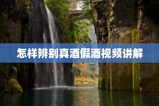 怎样辨别真酒假酒视频讲解