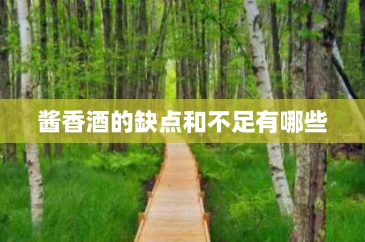 酱香酒的缺点和不足有哪些