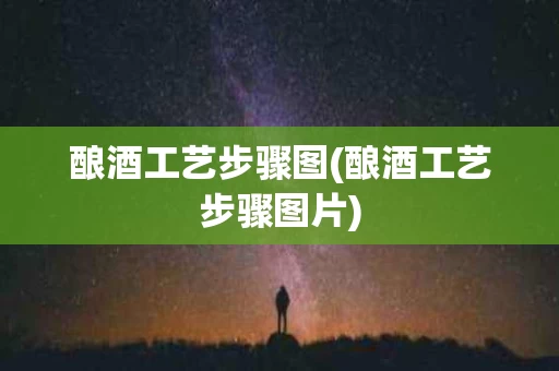 酿酒工艺步骤图(酿酒工艺步骤图片)