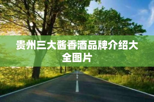 贵州三大酱香酒品牌介绍大全图片