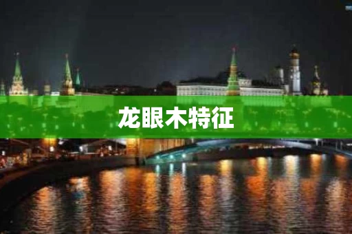 龙眼木特征