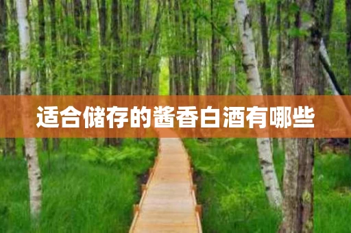 适合储存的酱香白酒有哪些