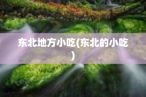 东北地方小吃(东北的小吃)