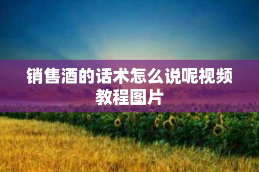 销售酒的话术怎么说呢视频教程图片