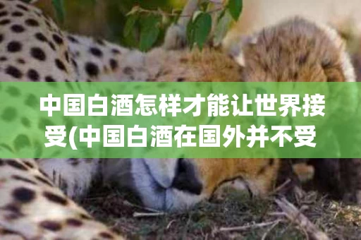 中国白酒怎样才能让世界接受(中国白酒在国外并不受欢迎)