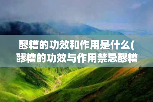 醪糟的功效和作用是什么(醪糟的功效与作用禁忌醪糟的功效)