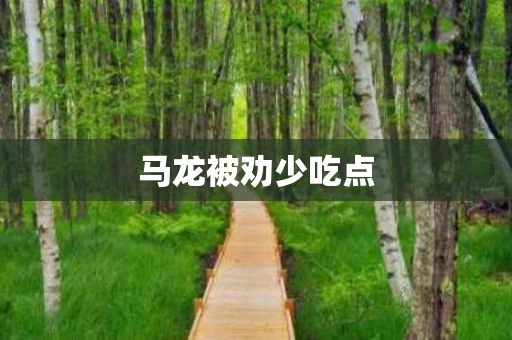 马龙被劝少吃点