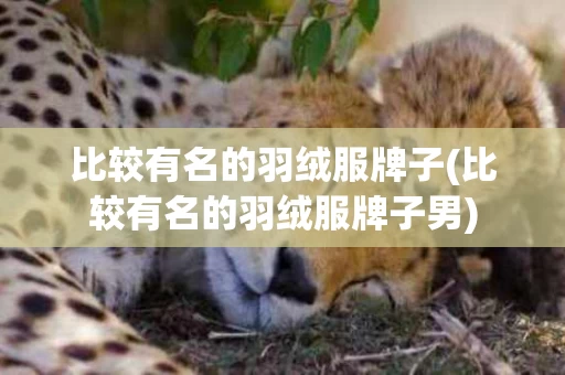 比较有名的羽绒服牌子(比较有名的羽绒服牌子男)