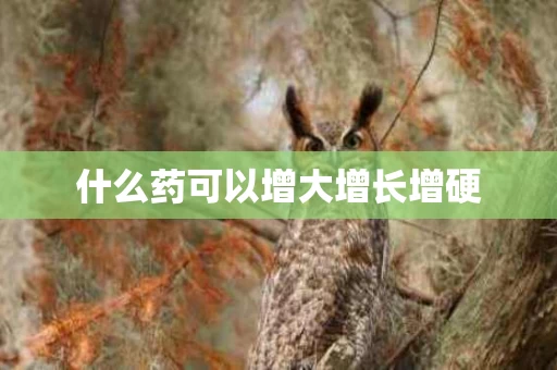 什么药可以增大增长增硬