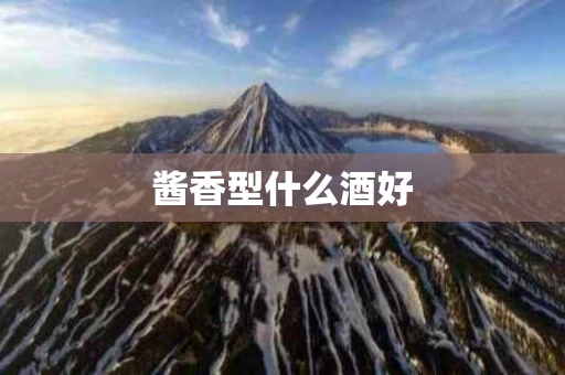 酱香型什么酒好