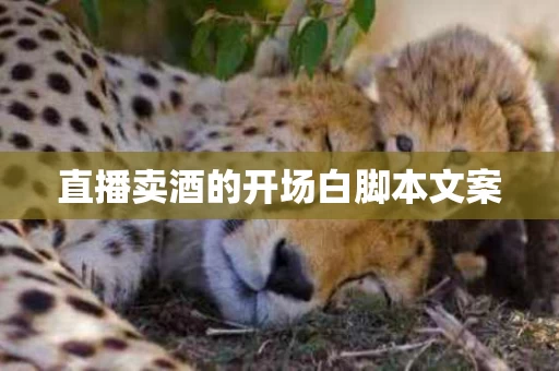 直播卖酒的开场白脚本文案