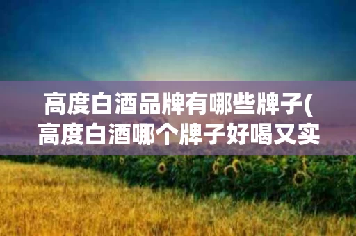 高度白酒品牌有哪些牌子(高度白酒哪个牌子好喝又实惠)